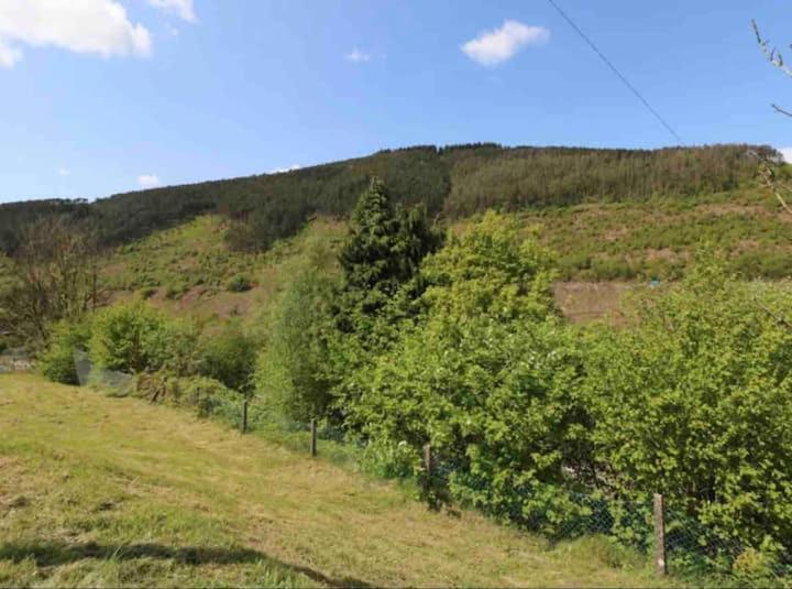 Afan House Villa Pontrhydyfen Kültér fotó